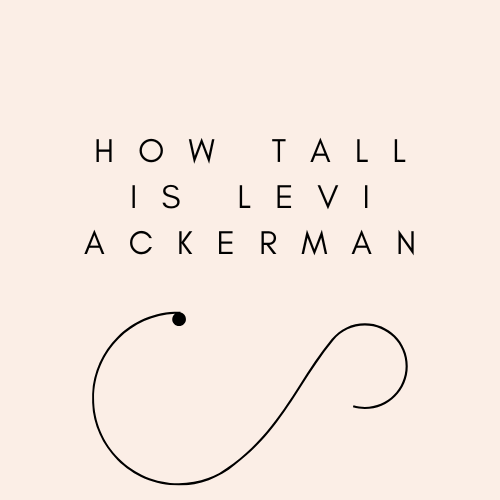 How Tall Is Levi Ackerman